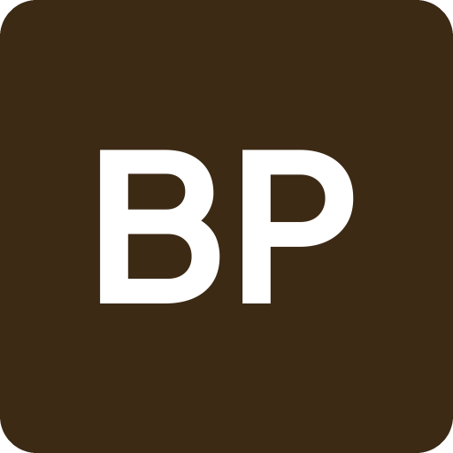 Brightside Portraits logo